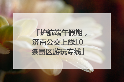 护航端午假期，济南公交上线10条景区游玩专线